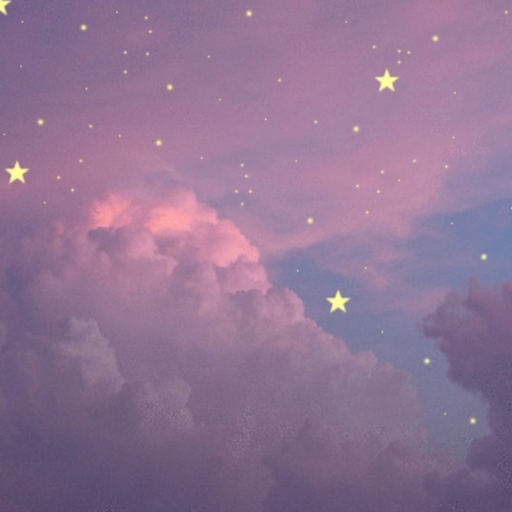 Meet your Posher, Sydnee